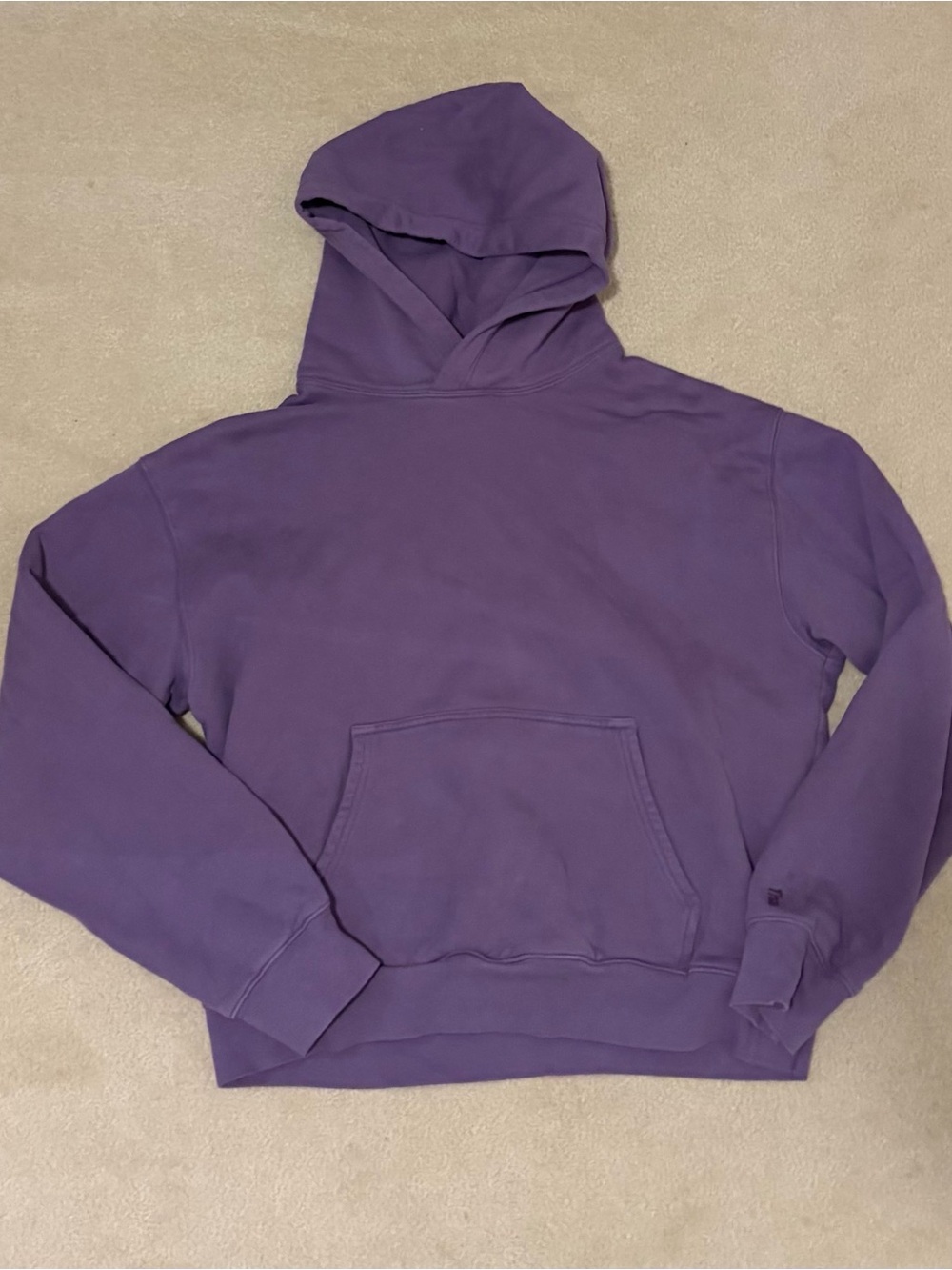 Aritzia TNA Perfect Cozy Hoodie